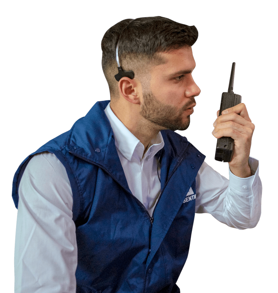 operador de videovigilancia tipos de alarmas