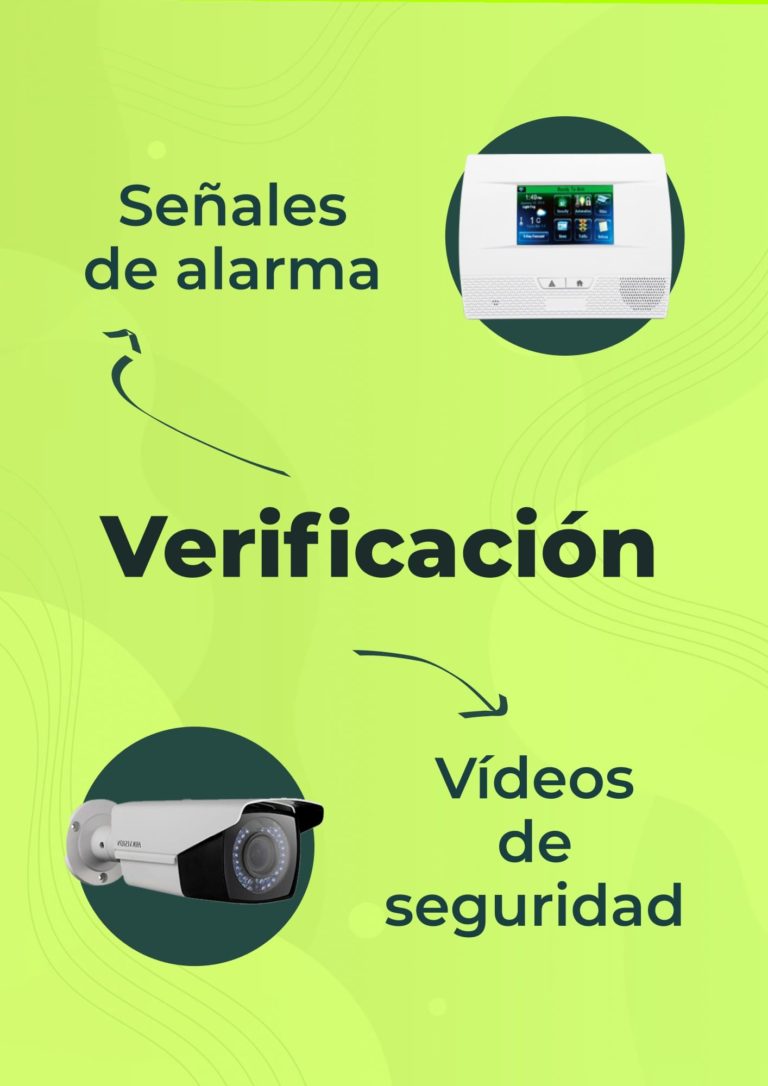 Verificación reacción motorizada